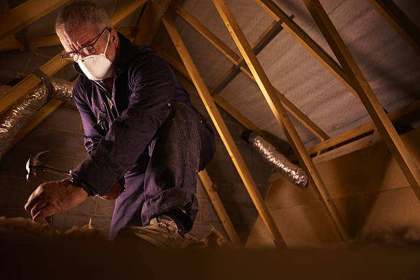 Best Insulation Installation Services in Shell Ridge, CA